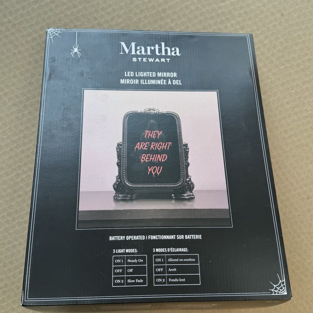 Martha Stewart LED Lighted Rectangle Accent Mirror - They Are Right Behind You